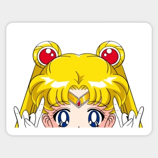 Anime Girl SailoMoon Blonde Magical Nostalgia Luna Cat 90s TV Show Sticker